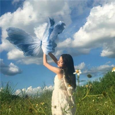 百花盛放